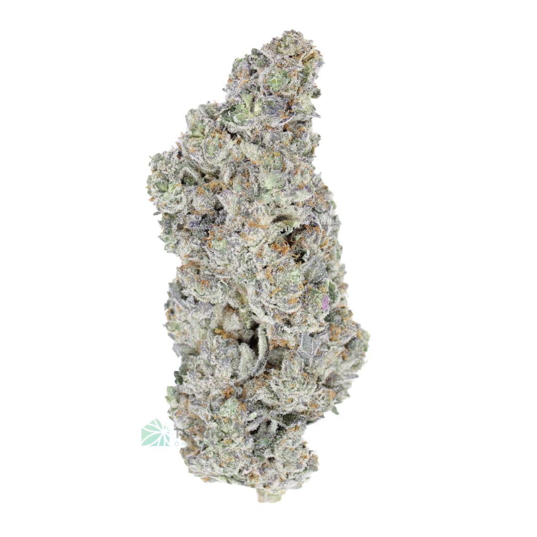 AAAA Champagne Hawaiian Best Sellers Buy Weed Online AAAA Champagne Hawaiian Best Sellers Buy Weed Online