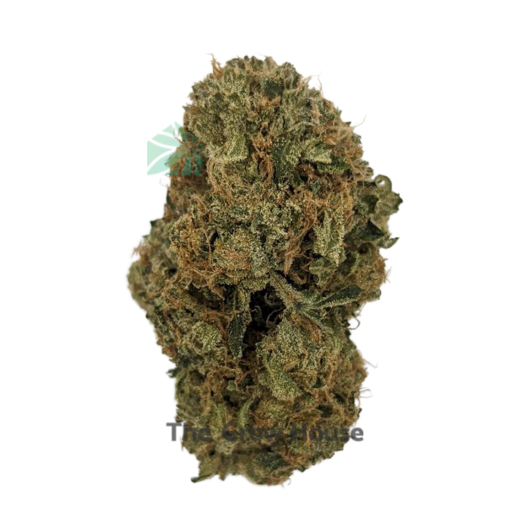 Cali Bubba Kush Budget Buds Buy Weed Online Cali Bubba Kush Budget Buds Buy Weed Online