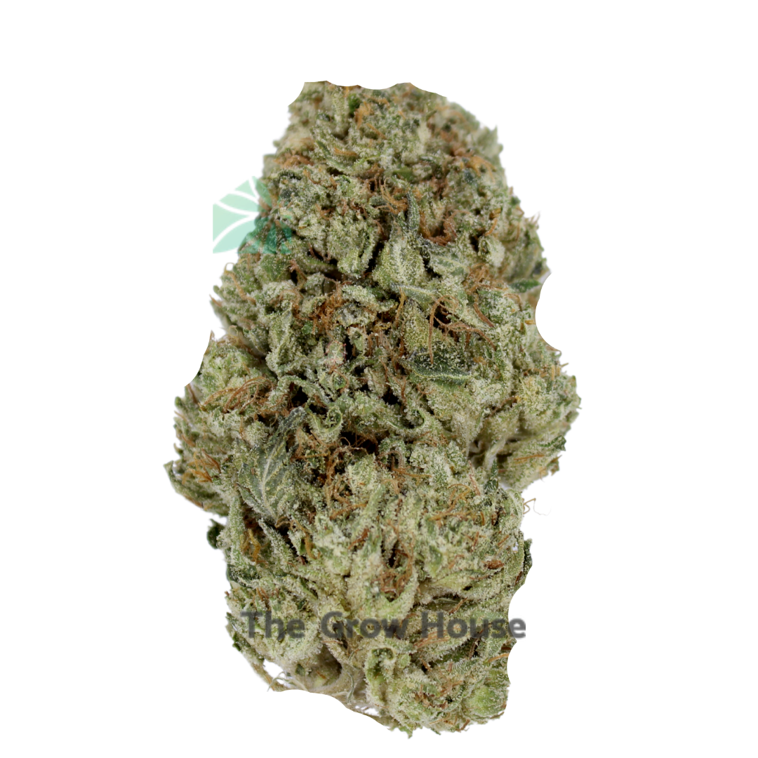 Godfather OG Budget Buds Buy Weed Online Godfather OG Budget Buds Buy Weed Online