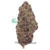 AAAA Gas Daddy By Kootney Exotics Best Sellers Buy Weed Online AAAA Gas Daddy By Kootney Exotics Best Sellers Buy Weed Online