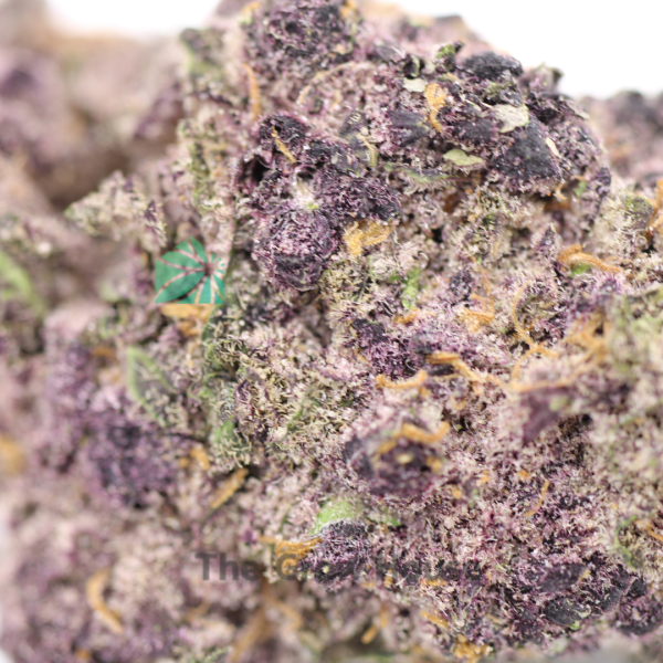 AAA Huckleberry Hybrid Buy Weed Online
