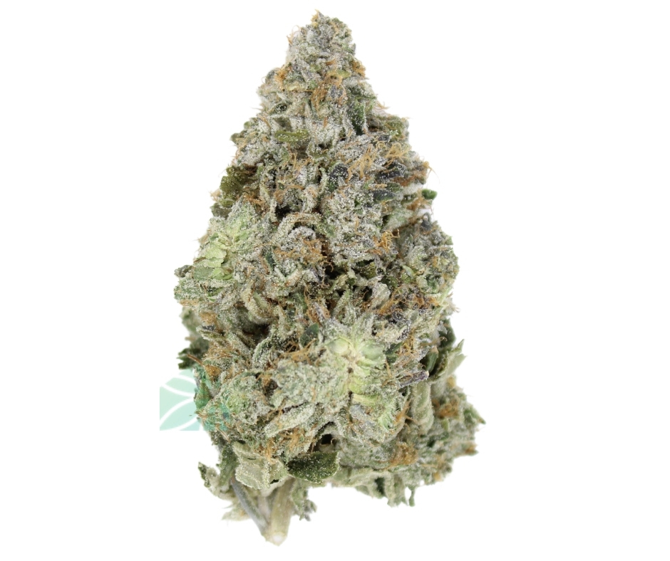 ⛽ AAAA Blue Fin Tuna – By Green Genetics Best Sellers Buy Weed Online ⛽ AAAA Blue Fin Tuna – By Green Genetics Best Sellers Buy Weed Online