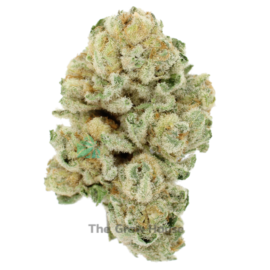 AAAA Silver Surfer By Kootney Exotics Marijuana Buy Weed Online AAAA Silver Surfer By Kootney Exotics Marijuana Buy Weed Online