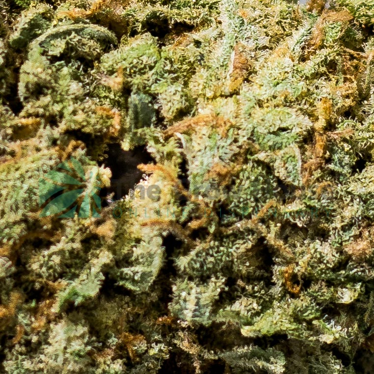 Chernobyl Hybrid Buy Weed Online Chernobyl Hybrid Buy Weed Online