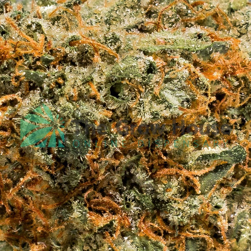 Strawberry Banana Budget Buds Buy Weed Online Strawberry Banana Budget Buds Buy Weed Online