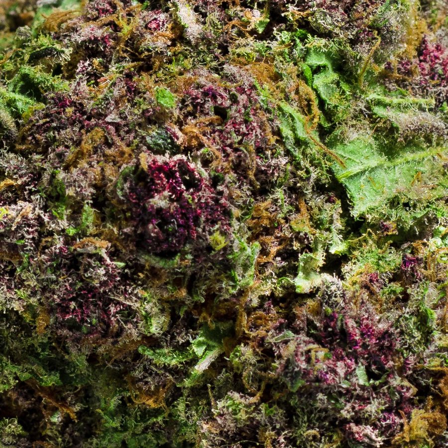 Royal Flush Hybrid Buy Weed Online Royal Flush Hybrid Buy Weed Online