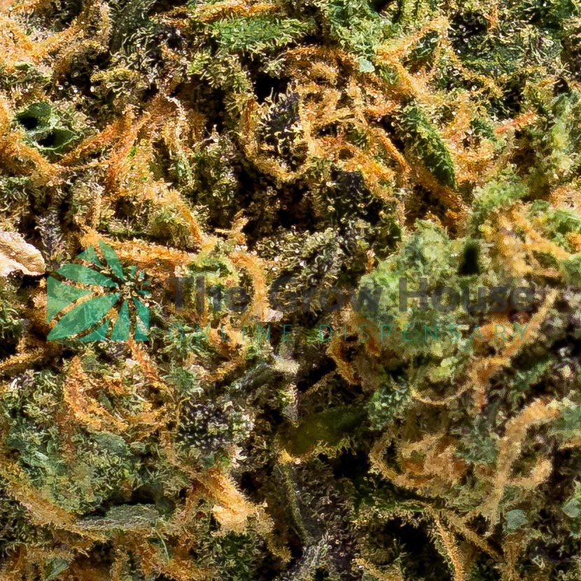 AAAA Purple Mcgrupp Hybrid Buy Weed Online AAAA Purple Mcgrupp Hybrid Buy Weed Online