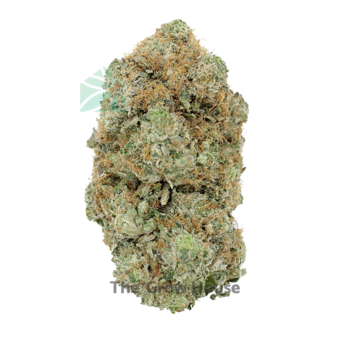 2 Ounce Deal – AAAA BC Rockstar Indica Buy Weed Online 2 Ounce Deal – AAAA BC Rockstar Indica Buy Weed Online
