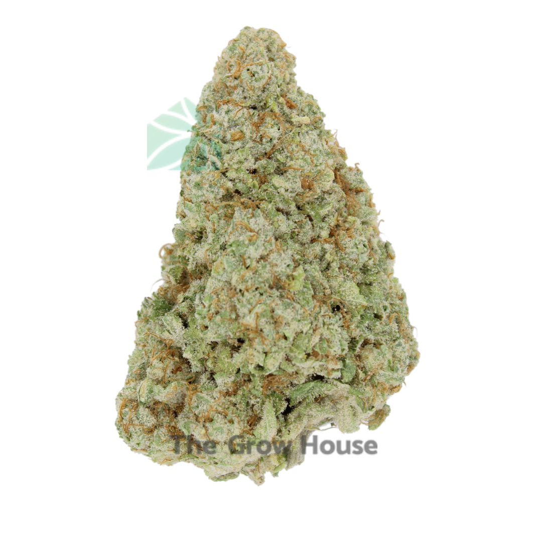 Beach Wedding Hybrid Buy Weed Online Beach Wedding Hybrid Buy Weed Online