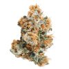 Master Kush Budget Buds Buy Weed Online Master Kush Budget Buds Buy Weed Online