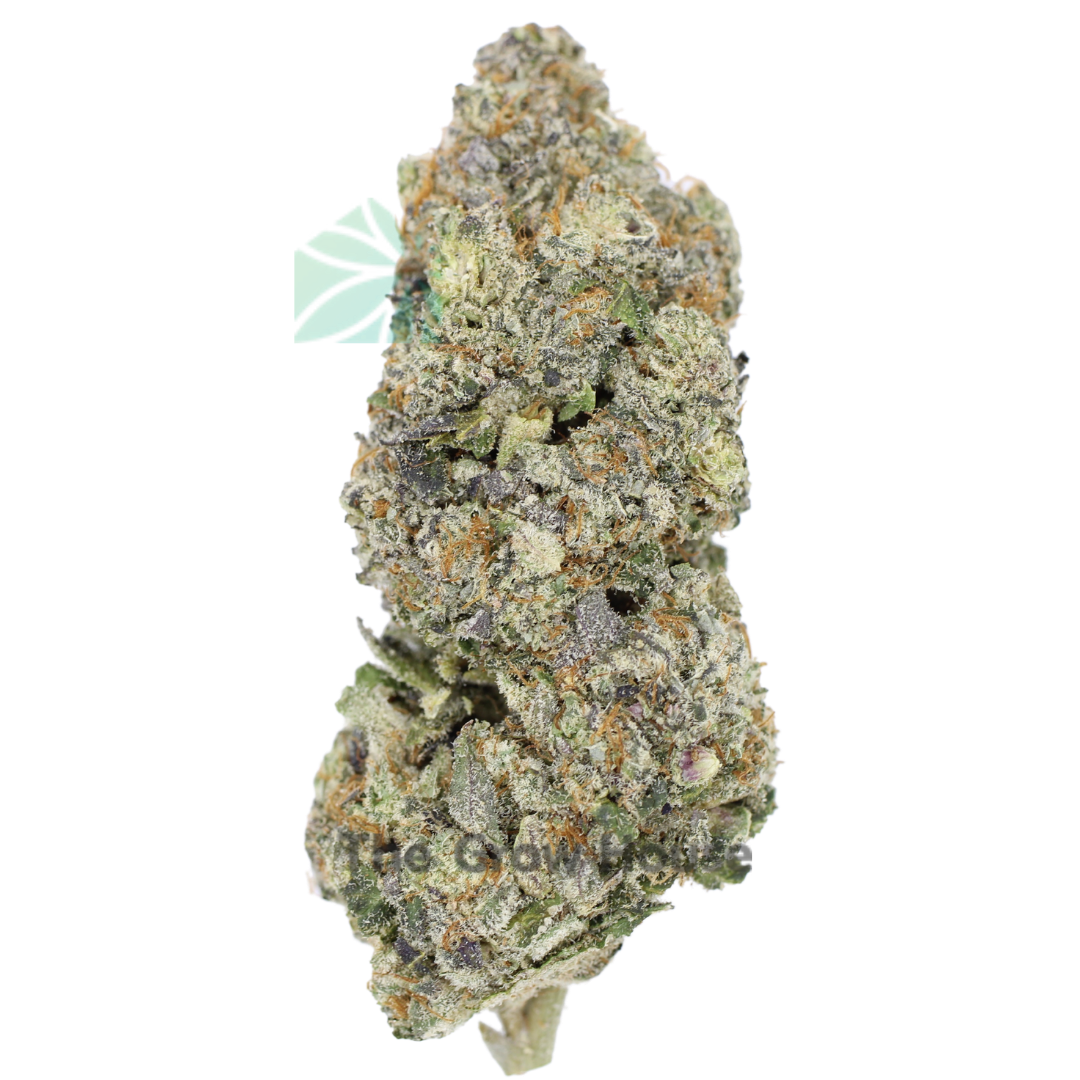 AAAA Dosidos x Gelato 41 By Kootney Exoticx Hybrid Buy Weed Online AAAA Dosidos x Gelato 41 By Kootney Exoticx Hybrid Buy Weed Online