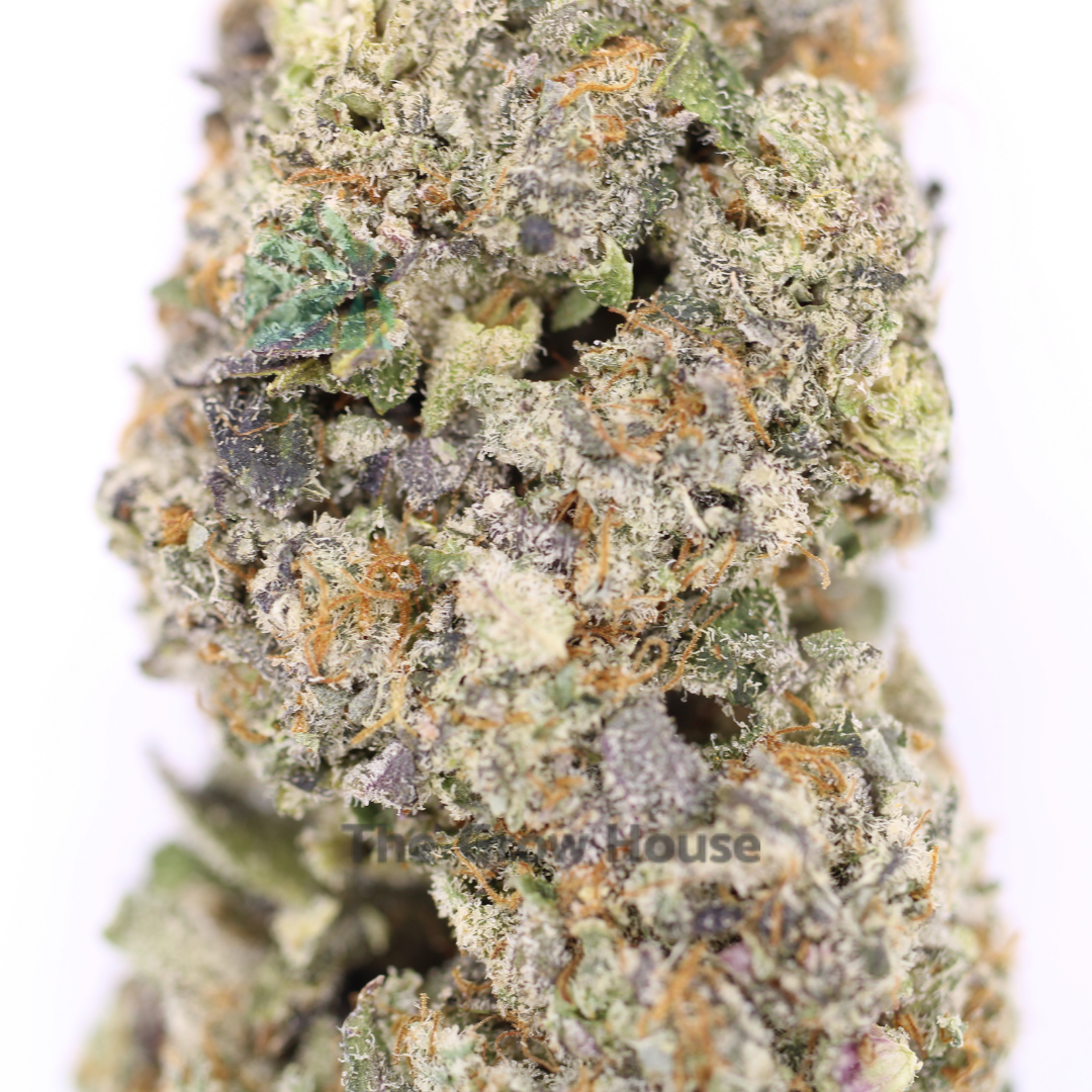 AAAA Dosidos x Gelato 41 By Kootney Exoticx Hybrid Buy Weed Online AAAA Dosidos x Gelato 41 By Kootney Exoticx Hybrid Buy Weed Online