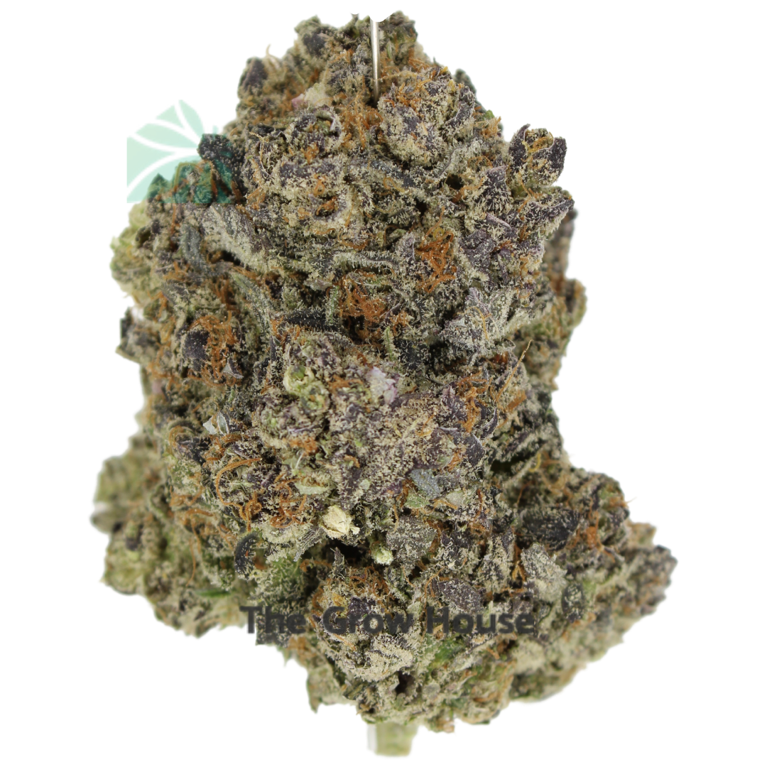 AAAA Dosi Pie Best Sellers Buy Weed Online AAAA Dosi Pie Best Sellers Buy Weed Online