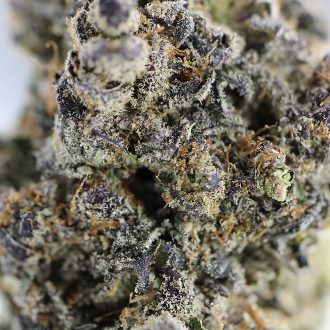 AAAA Dosi Pie Best Sellers Buy Weed Online AAAA Dosi Pie Best Sellers Buy Weed Online