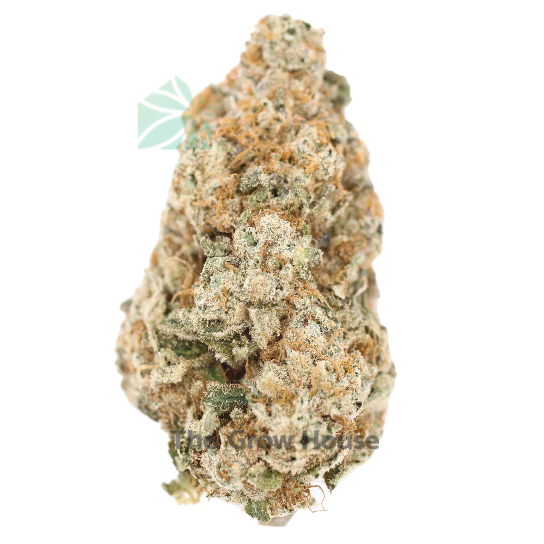 AAAA Frosted Cherry Cookies Hybrid Buy Weed Online AAAA Frosted Cherry Cookies Hybrid Buy Weed Online
