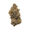Zombie Kush Budget Buds Buy Weed Online Zombie Kush Budget Buds Buy Weed Online