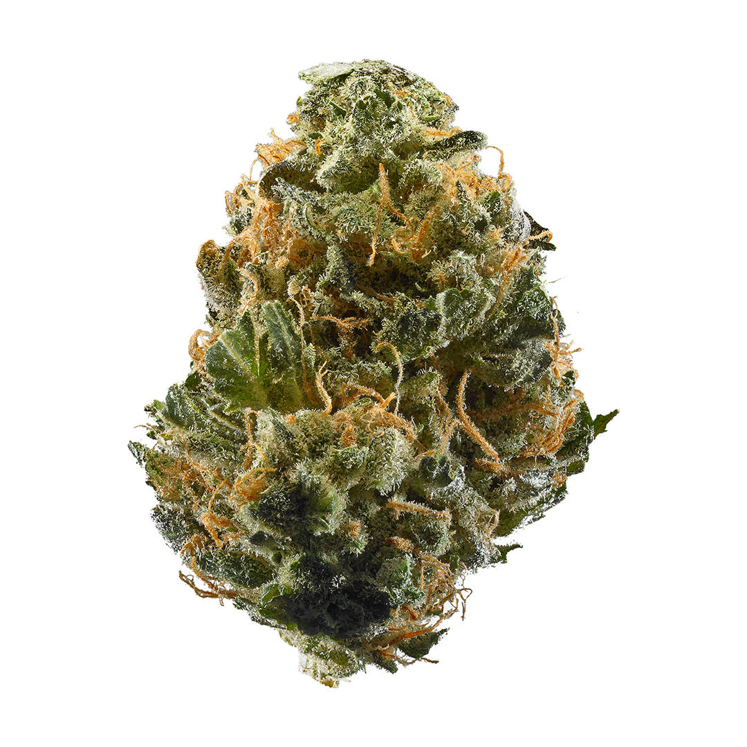 Haze Budget Buds Buy Weed Online Haze Budget Buds Buy Weed Online