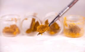 Alien Irene Shatter Best Sellers Buy Weed Online Alien Irene Shatter Best Sellers Buy Weed Online