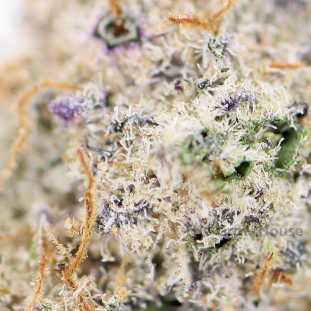 AAAA Lava Cake Indica Buy Weed Online AAAA Lava Cake Indica Buy Weed Online