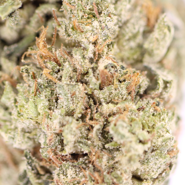 2 Ounce Deal – Master Kush Budget Buds Buy Weed Online