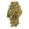 AAAA Amethyst By Kootney Exotics Hybrid Buy Weed Online AAAA Amethyst By Kootney Exotics Hybrid Buy Weed Online