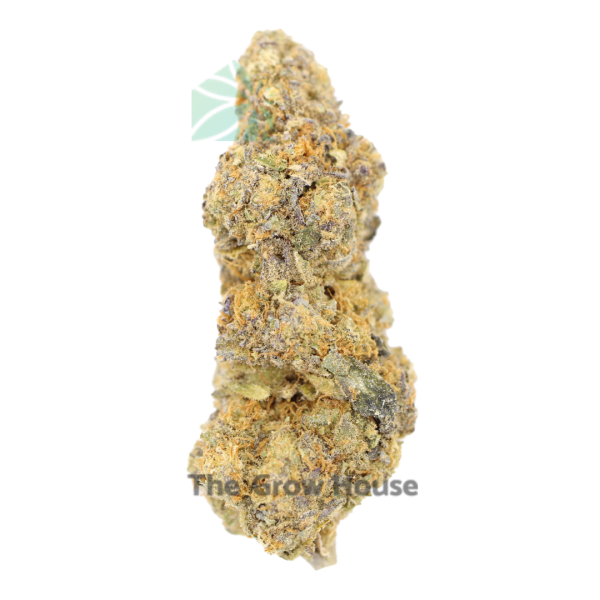 AAAA Mocha Mint Hybrid Buy Weed Online