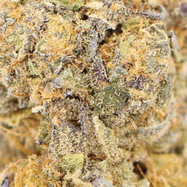 AAAA Mocha Mint Hybrid Buy Weed Online