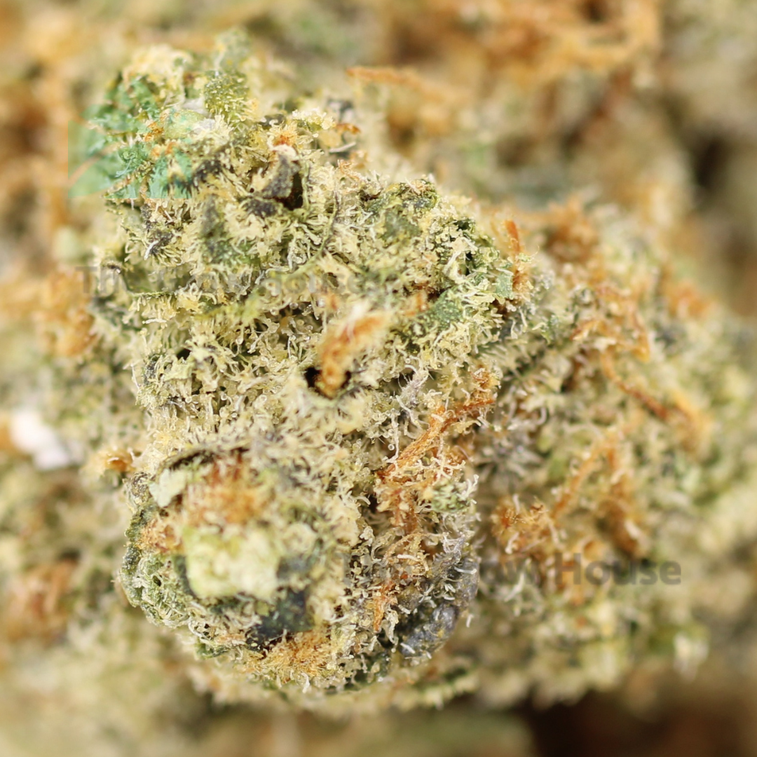 AAAA Orange Push Pop Hybrid Buy Weed Online AAAA Orange Push Pop Hybrid Buy Weed Online