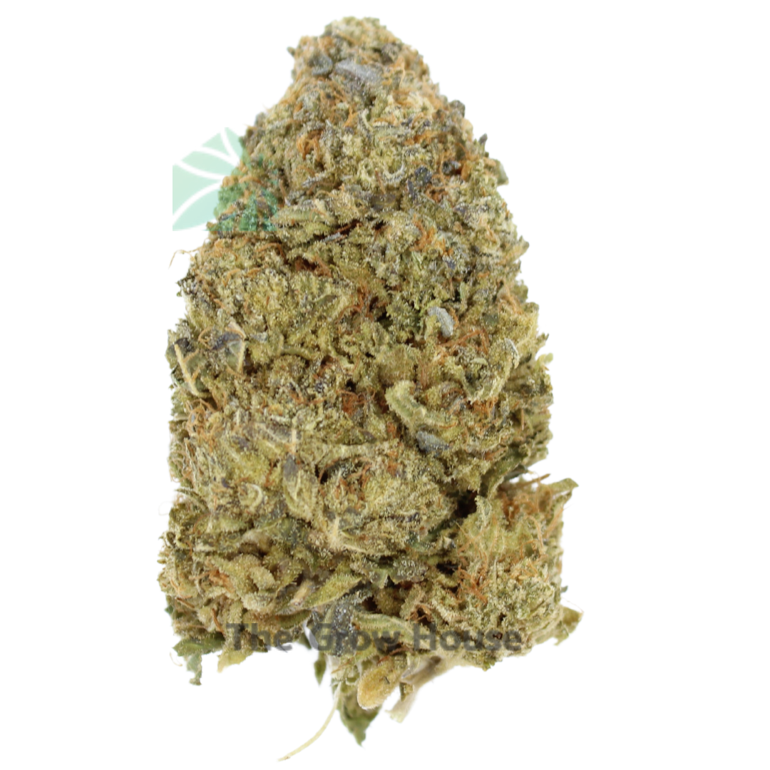 AA+ Black Tuna – By Buddha Boys Budget Buds Buy Weed Online AA+ Black Tuna – By Buddha Boys Budget Buds Buy Weed Online