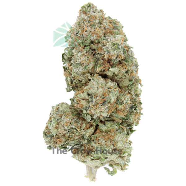 2 OUNCE DEAL – Tuna Budget Buds Buy Weed Online