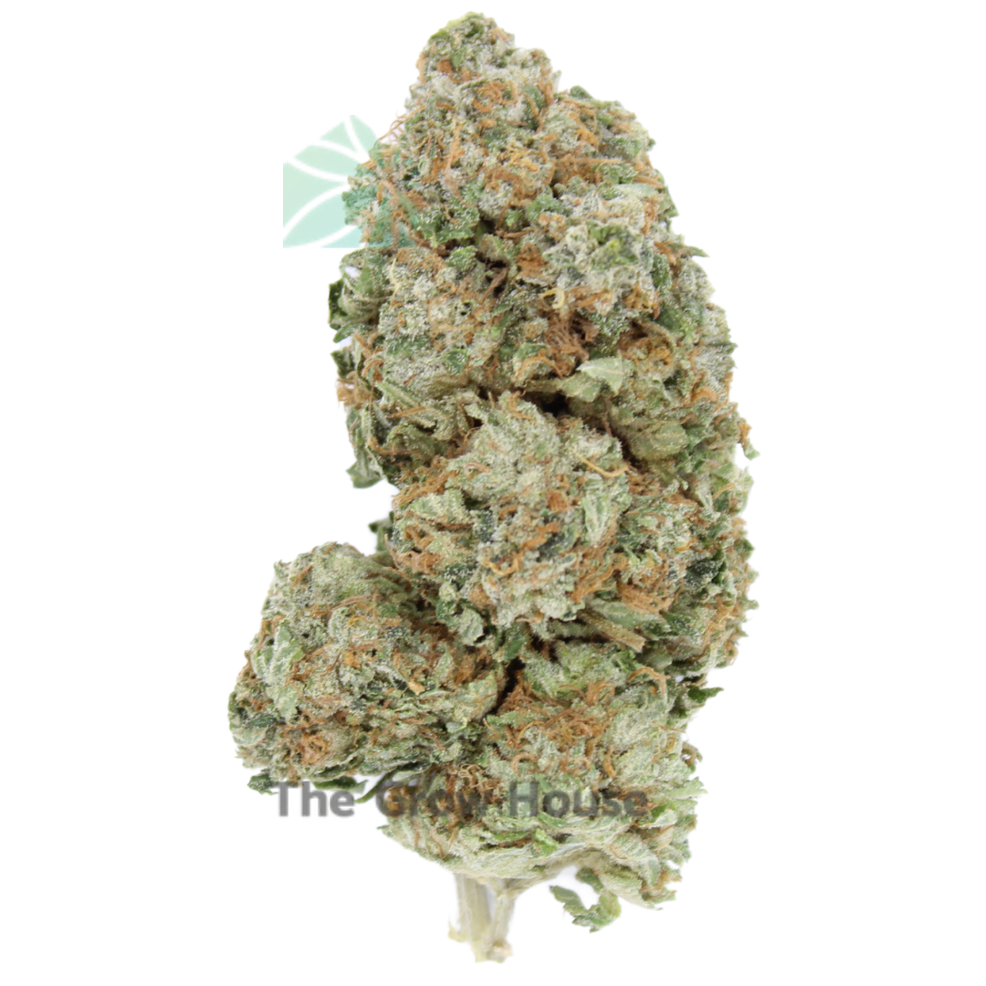 2 OUNCE DEAL – Tuna Budget Buds Buy Weed Online 2 OUNCE DEAL – Tuna Budget Buds Buy Weed Online