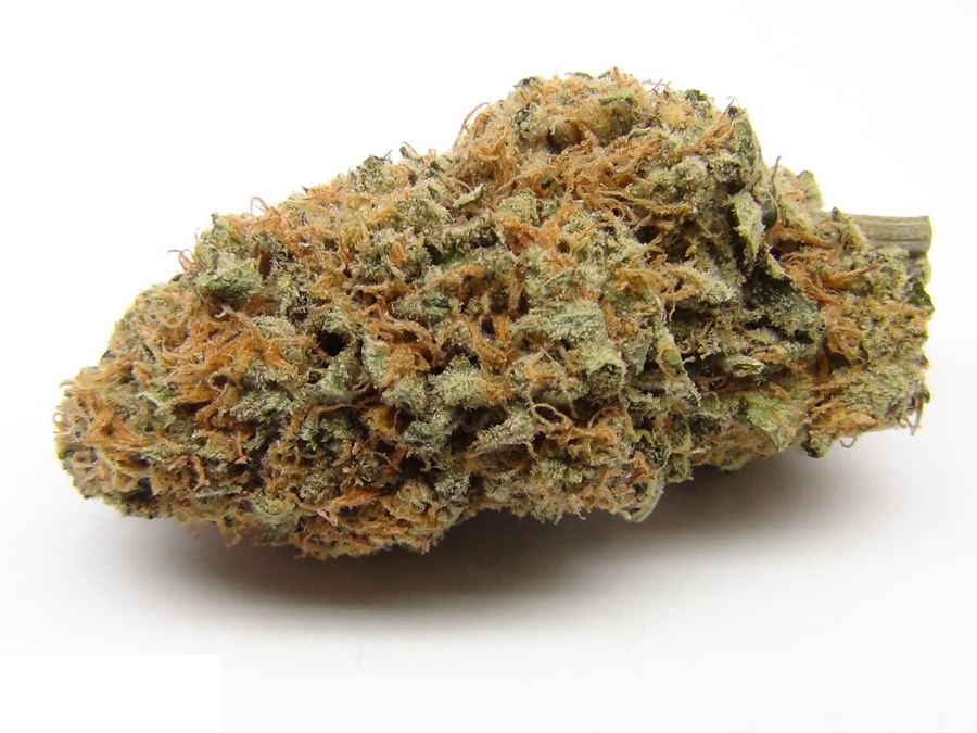 (A+) Ak-47 BULK DEAL Hybrid Buy Weed Online (A+) Ak-47 BULK DEAL Hybrid Buy Weed Online
