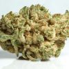 (A+) Ak-47 BULK DEAL Hybrid Buy Weed Online (A+) Ak-47 BULK DEAL Hybrid Buy Weed Online