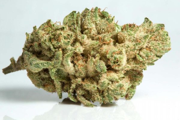 AAAA Gorilla Glue Premium Collection Buy Weed Online