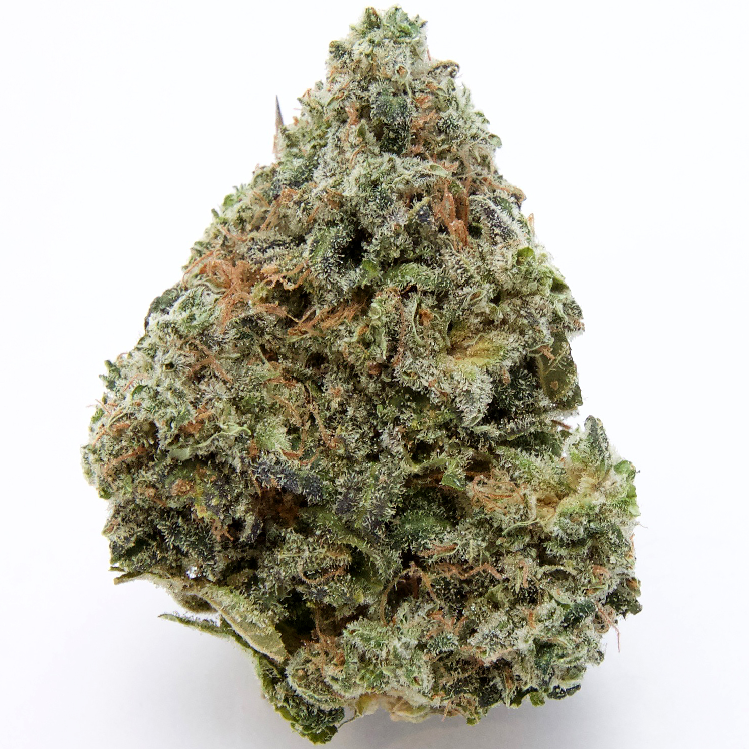 ⛽ AAAA BC Rockstar Bulk By Pharmcraft Bulk Buy Weed Online ⛽ AAAA BC Rockstar Bulk By Pharmcraft Bulk Buy Weed Online