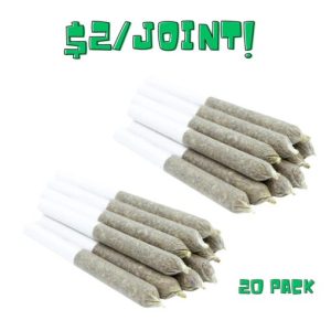 TOONIE DOOBIES (20/Pack) – Updated Budget Buds Buy Weed Online TOONIE DOOBIES (20/Pack) - Updated