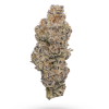 🏆 #1 Karma Cup: AAAA Apple Fritter by MTL ☀️ Flowers Buy Weed Online