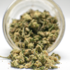 3 Ounce Deal : AA Pumpkin Kush Popcorn Flowers Buy Weed Online 3 Ounce Deal : AA Pumpkin Kush Popcorn Flowers Buy Weed Online