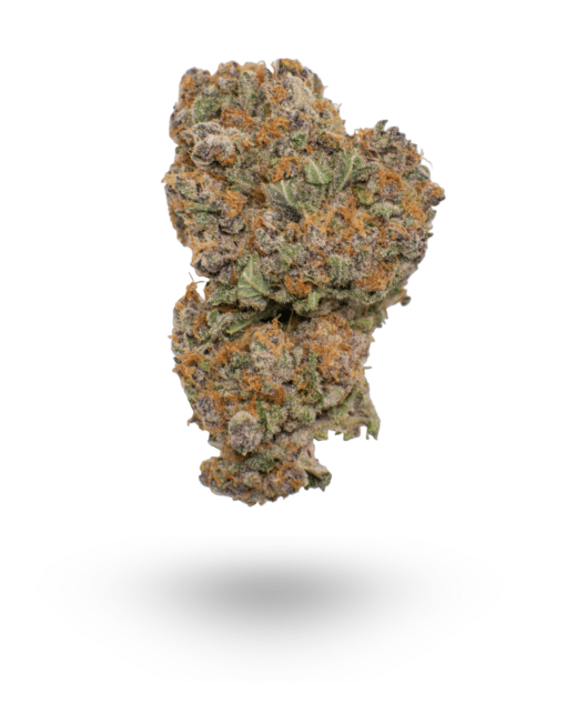 AAAA Beach Crasher By: Jungle Boys Hybrid Buy Weed Online AAAA Beach Crasher By: Jungle Boys Hybrid Buy Weed Online
