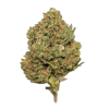 AAAA Sour Haze By Buddha Boys Flowers Buy Weed Online AAAA Sour Haze By Buddha Boys Flowers Buy Weed Online