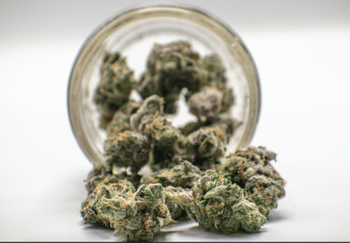 AAAA Slurricane Smalls By Buddah Boys Flowers Buy Weed Online AAAA Slurricane Smalls By Buddah Boys Flowers Buy Weed Online