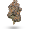 AAAA Slurricane Smalls By Buddah Boys Flowers Buy Weed Online AAAA Slurricane Smalls By Buddah Boys Flowers Buy Weed Online