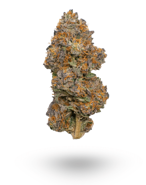 AAAA lava cake by Jungle Boys Flowers Buy Weed Online AAAA lava cake by Jungle Boys Flowers Buy Weed Online