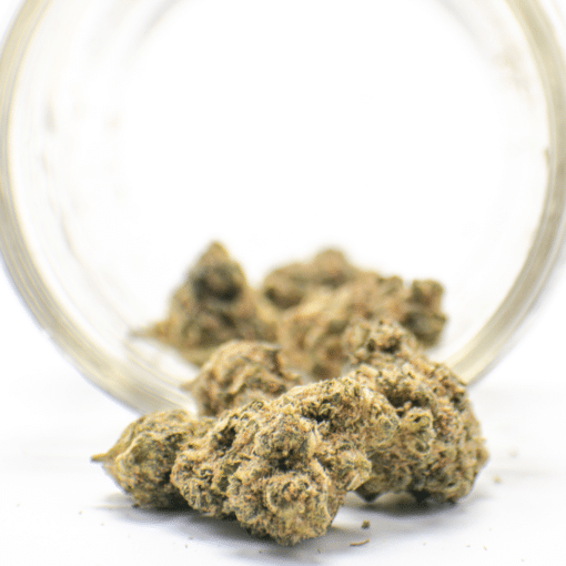 AA+ Powdered Donuts Smalls Flowers Buy Weed Online AA+ Powdered Donuts Smalls Flowers Buy Weed Online