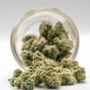AAA Premium Shake Budget Buds Buy Weed Online AAA Premium Shake Budget Buds Buy Weed Online