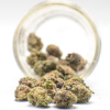 2 Ounce Deal AA+ Gorilla Glue Smalls Flowers Buy Weed Online 2 Ounce Deal AA+ Gorilla Glue Smalls Flowers Buy Weed Online