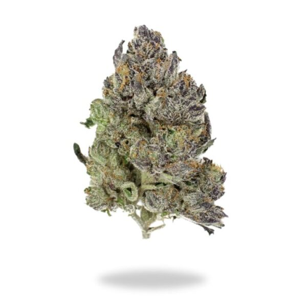 🏆 Cannabis Cup: AAAA Purple Punch By Pharmcraft Flowers Buy Weed Online