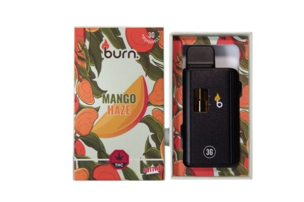 3 Gram Burn Disposable Vapes – Mango Haze (Sativa) (3 Gram) Vapour Pens Buy Weed Online