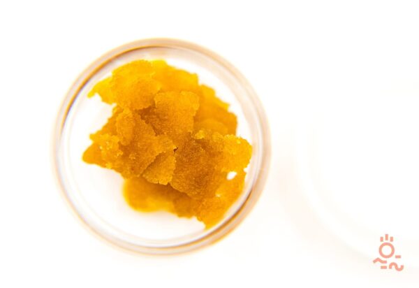 Girl Scout Cookies Shatter Shatter Buy Weed Online