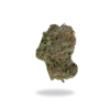 White Berry Budget Buds Buy Weed Online White Berry Budget Buds Buy Weed Online